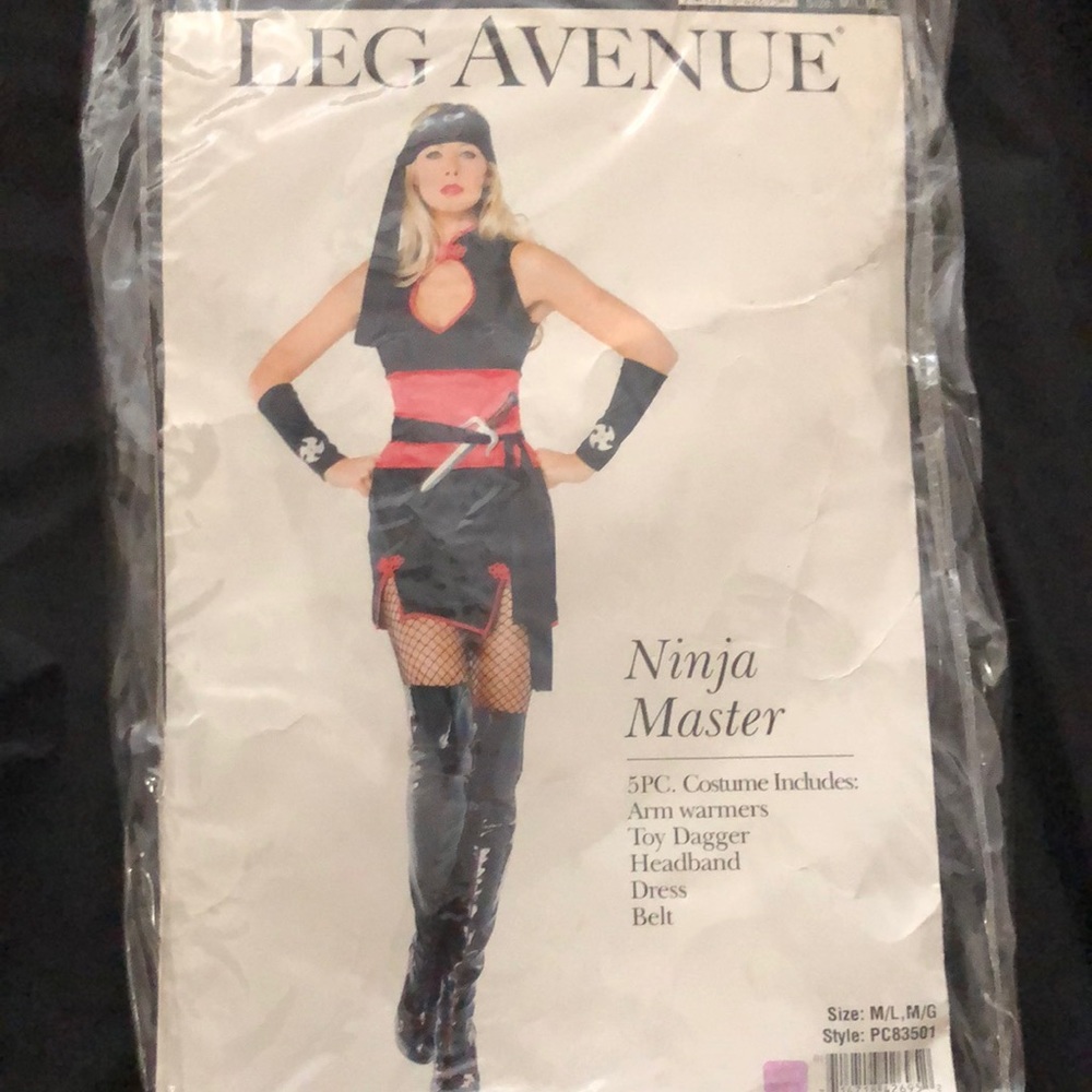 Ninja Master costume